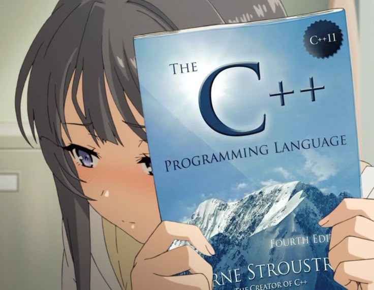 l am a programmer btw